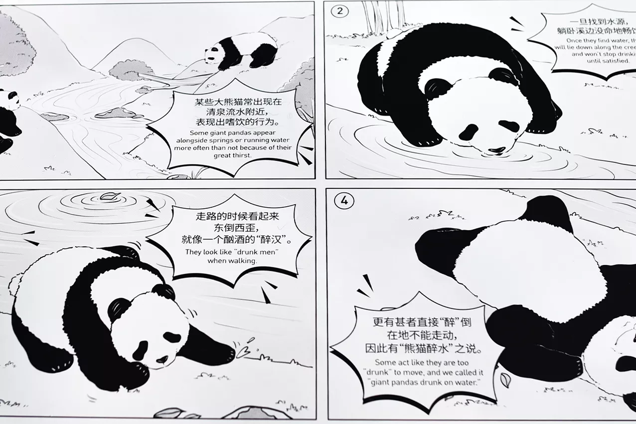 熊猫基地冒险溪谷片区｜视觉&体验设计